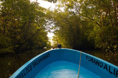Mangrov Rio Dulce Guatemala yakın tekne yolculuğu
