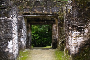 Tikal Guatemala 'da Maya kormidi kapısı