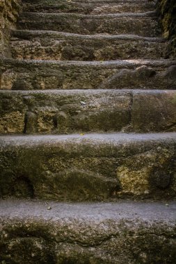 Maya piramide merdiven Tikal Guatemala