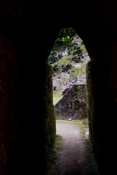 Saída de piramida maia em Tikal Guatemala — Fotografia de Stock