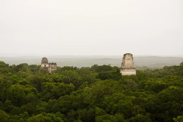 guatemala Maya PIRAMIDES ormanda veya içinde tikal selva peten