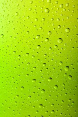 Macro of a Cold Frosted Beer Bottle