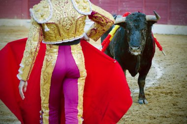 Bullfighting. Spanish Fiesta clipart
