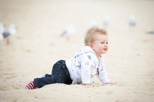 Little Kid on Sand Beach and Seagulls — Stock Photo, Image