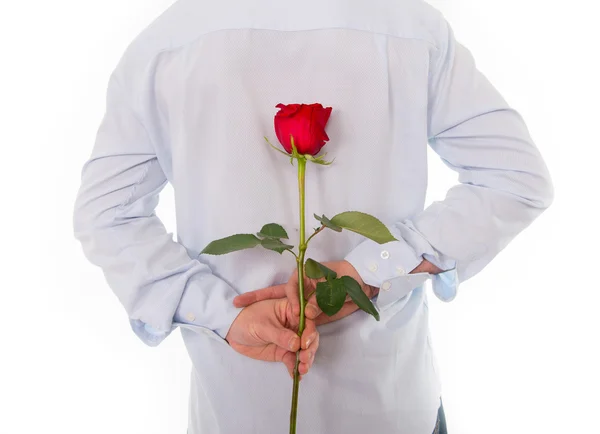 Man holding a single red rose behind his back — Stock Photo, Image
