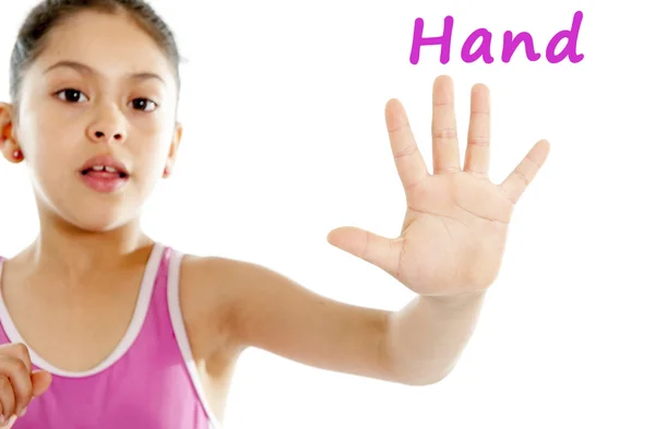 Englisch lernen für Kinder Schulausweis von Nahaufnahme jungen Mädchen Hand und Finger auf weißem Hintergrund — Stockfoto