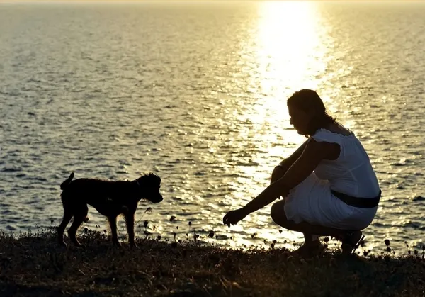 Kadın ve köpek birlikte oynayan denizde yaz plaj günbatımı siluet — Stok fotoğraf