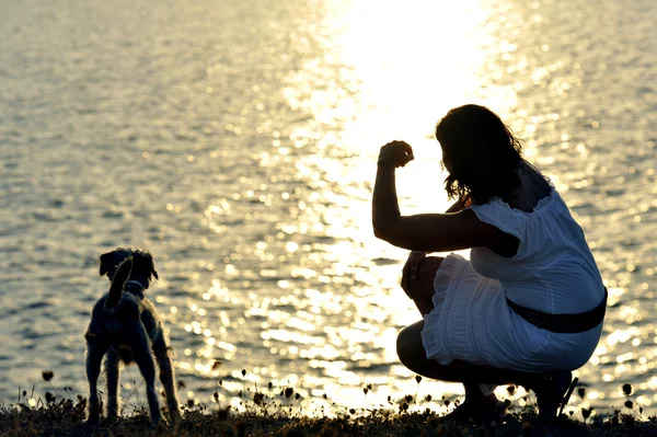 Donna e cane Silhouette spiaggia estiva tramonto al mare giocando insieme — Foto Stock