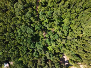 Helikopterden ormanda ateş edilmiş.