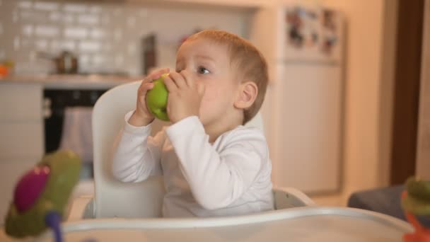 Liten glad söt liten pojke blond sitter på barnstol leker med äpple. Baby ansiktsuttryck inomhus kök interiör med mat. Friska äta lycklig familj barndom koncept. — Stockvideo