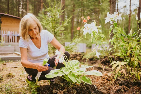 Pekebun senior wanita tua yang merawat bunga di taman musim panas di pedesaan di luar, menyemprotkan tanaman berbunga menggunakan katup air. Pertanian, berkebun, pertanian, pensiunan orang tua. — Stok Foto