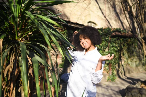 Fashion close up stylish portrait of attractive young natural beauty African American woman with afro hair in white shirt posing outdoors with green palm. Happy lady laugh with perfect smile teeth — Fotografia de Stock