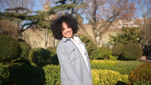 Close up Fashion street style portrait of attractive young natural beauty African American woman with afro hair in blue coat posing walking outdoors in sunny day. Happy lady with perfect teeth smile. — Stock Video