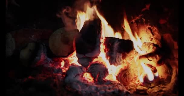 Fuego Arde Chimenea Del Fuego Plan Grande Quema Troncos Recreación — Vídeo de stock