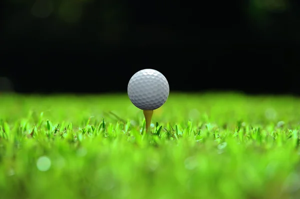 Golfový míček — Stock fotografie