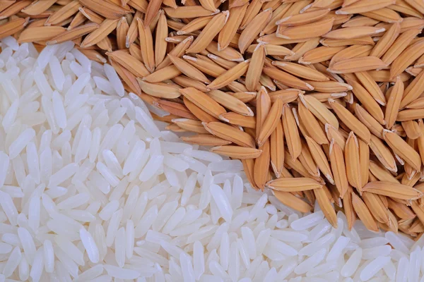 Grão de arroz — Fotografia de Stock