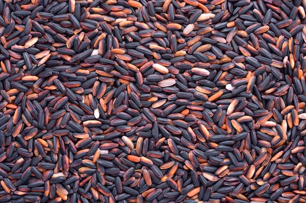 Grão de arroz — Fotografia de Stock