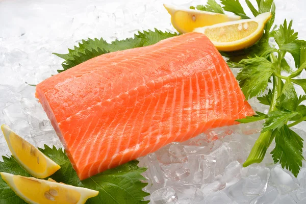 Frischer Lachs — Stockfoto