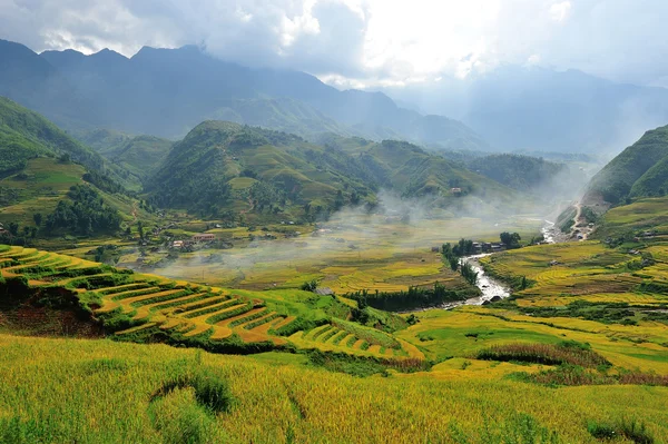 Rice terraces — Stock Photo, Image