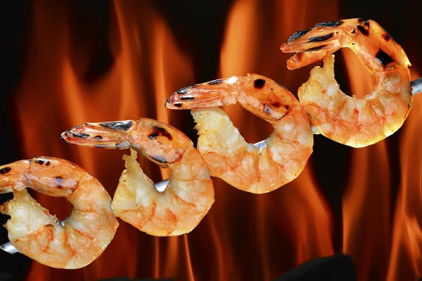 Crevettes grillées — Photo