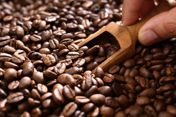 Escavar Manualmente Grãos Café Usando Colher Madeira Uma Grande Pilha — Fotografia de Stock