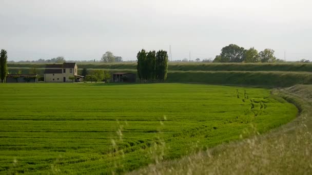 Campagna — Vídeo de Stock