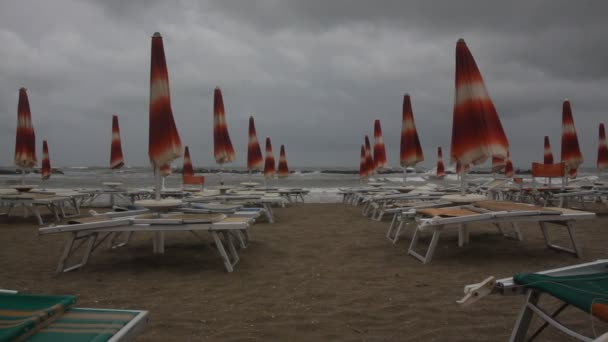 Hösten på stranden — Stockvideo