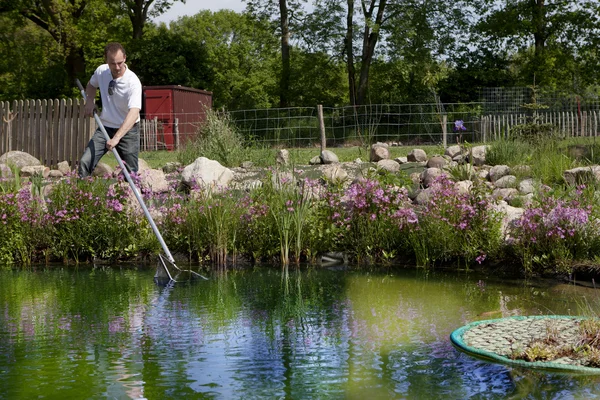 Man fishes in garden pond — Stock Photo, Image