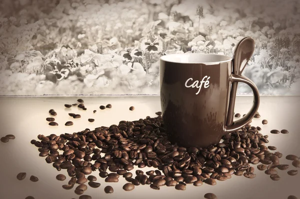 Xícara de café com lotes de grãos frescos — Fotografia de Stock