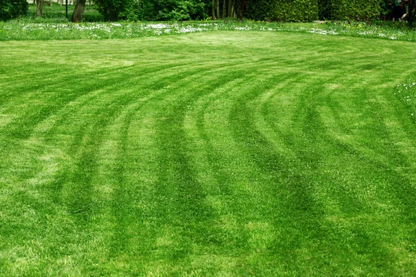 잔디를 말끔 히 깎다 — 스톡 사진