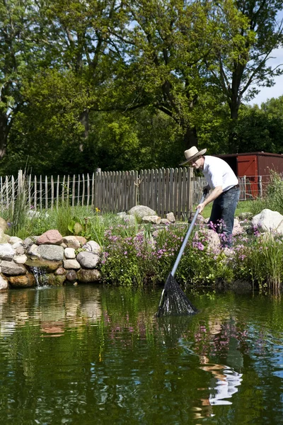 Hombre peces en estanque de jardín —  Fotos de Stock