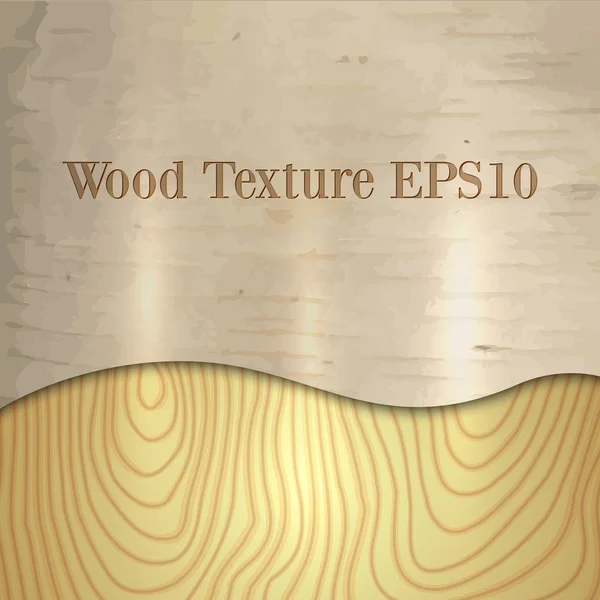 Vector light wood birch texture — Stock Vector