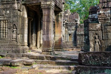 Kamboçya. Siem Reap Eyaleti. Angkor arkeoloji parkı. Banteay Kdei Tapınağının eski kalıntıları