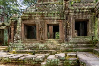 Kamboçya. Siem Reap Eyaleti. Angkor arkeoloji parkı. Banteay Kdei Tapınağının eski kalıntıları