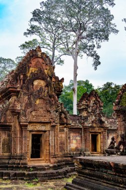 Kamboçya. Siem Reap Eyaleti. Angkor arkeoloji parkı. Banteay Srei. 10. yüzyıl Hindu tapınağı Shiva 'ya adanmıştır.
