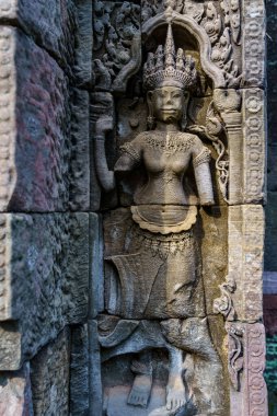 Kamboçya. Siem Reap. Angkor arkeoloji parkı. Preah Khan 12. yüzyıl Hindu tapınağında Devata 'nın kabartma heykeli.