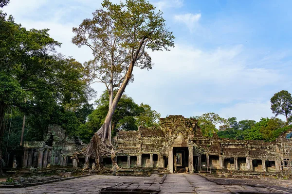 Kambodja Siem Reap Angkors Arkeologiska Park Trädroten Banyanträdet Överväxt Delar — Stockfoto