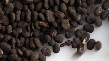 Bakuchiol 'un kuru tohumları