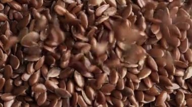 Dökülen keten tohumları.