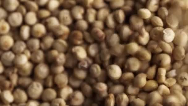 Quinoa seeds makró. — Stock videók