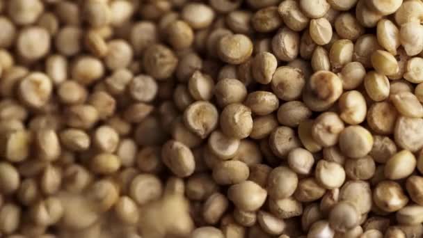 Quinoa seeds macro. — Stock Video
