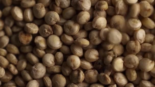Quinoa semena makro. — Stock video