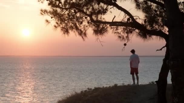 Man Geniet Van Uitzicht Zeegezicht Van Klif Onder Een Boom — Stockvideo