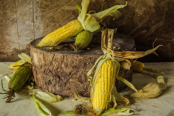 Nature morte avec maïs — Photo