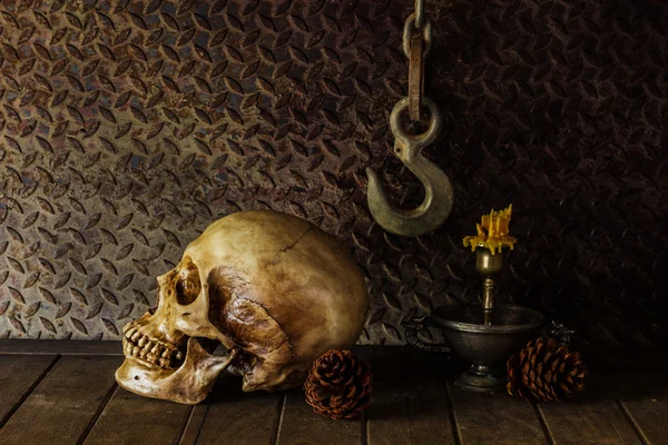 Still Life with a Skull. — Stock Photo, Image