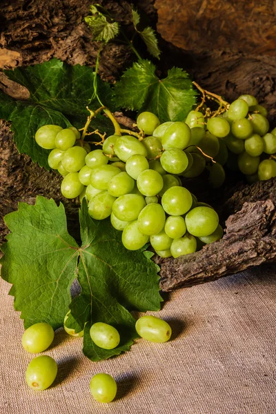 Still life with green grape. — Stock Photo, Image