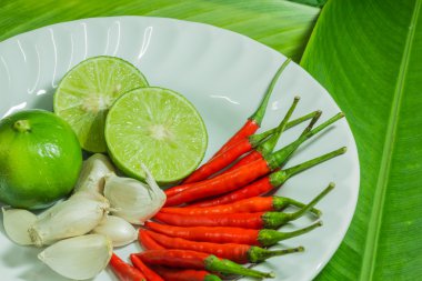 Taze otlar ve baharatlar