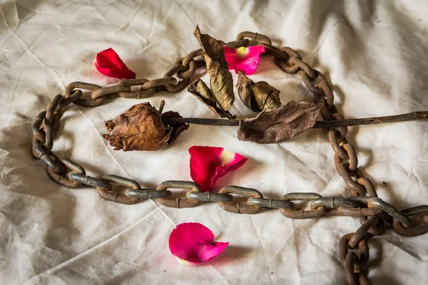 Still Life Metaphorical roses . — Stock Photo, Image