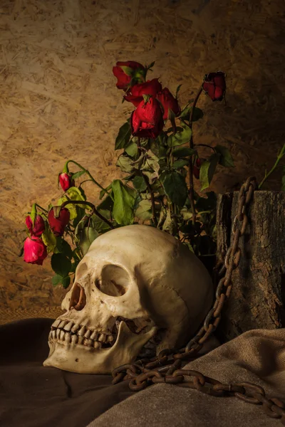 빨간 장미와 함께 인간의 두개골과 정. — 스톡 사진