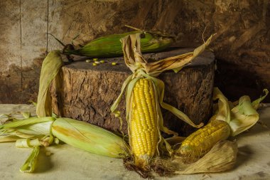 Natürmort Mısır ile